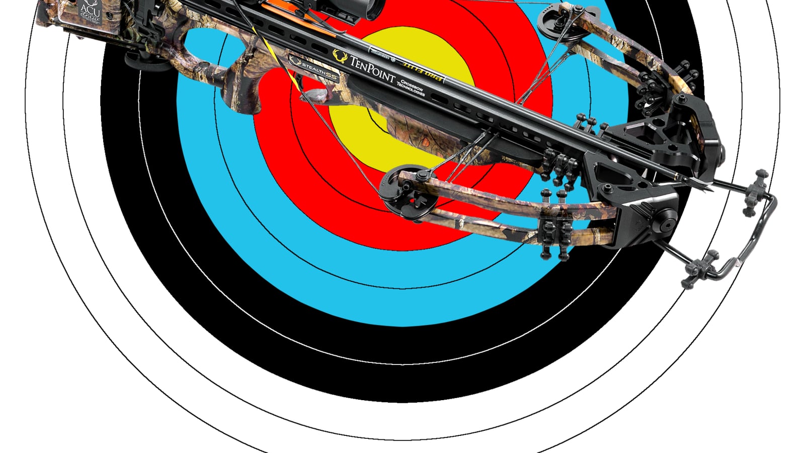 Match Crossbow: An Overlooked Precision Discipline