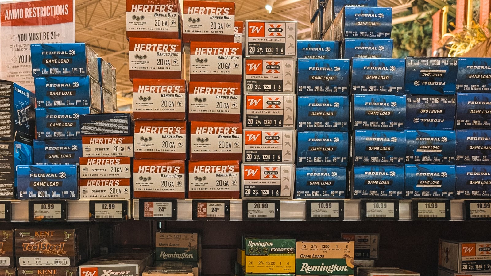 How to Store Ammunition Properly: Shelf Life and Conditions