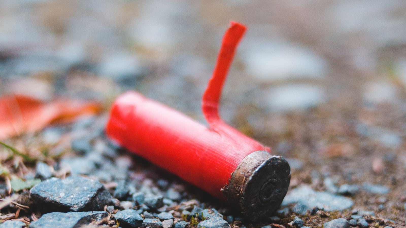 Chevrotine, plomb de chasse ou balle : bien choisir ses munitions fusil
