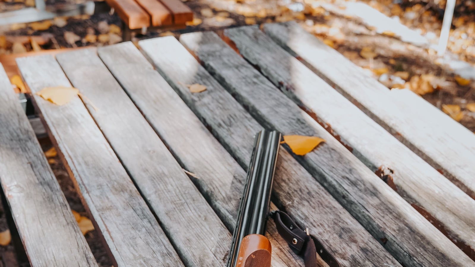 Comparatif des bancs de tir pliables du marché