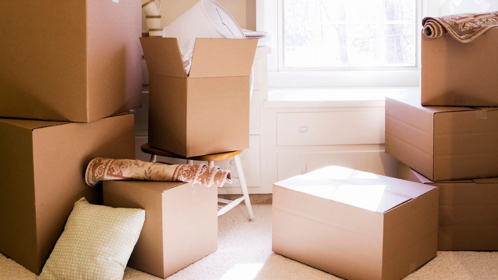 Moving house: the administrative steps for a licensed shooter