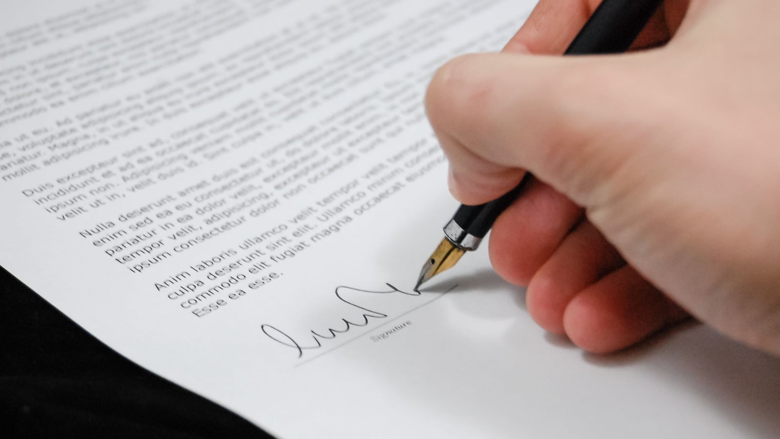 FFTir, FFBT, or an independent club: which affiliation should you choose