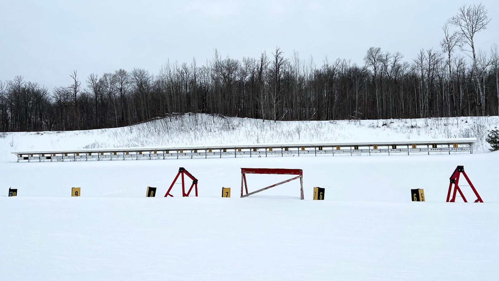 Biathlon: When Precision Shooting Meets Cross-Country Skiing