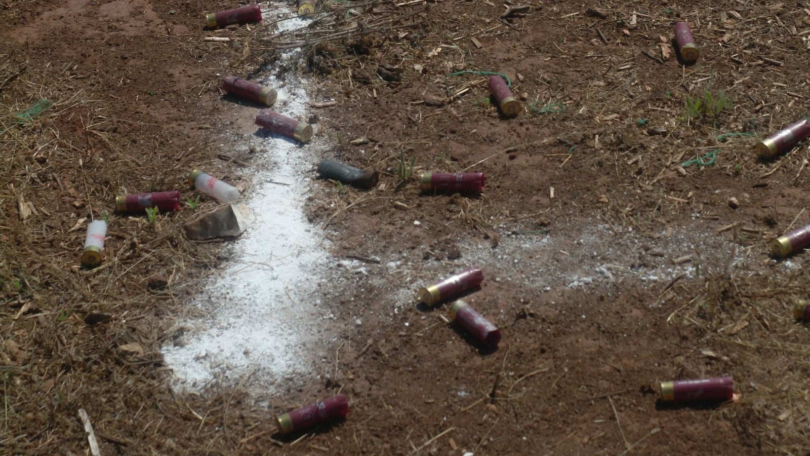 Lead vs Steel: Which Ammo for Which Clay Shooting Discipline