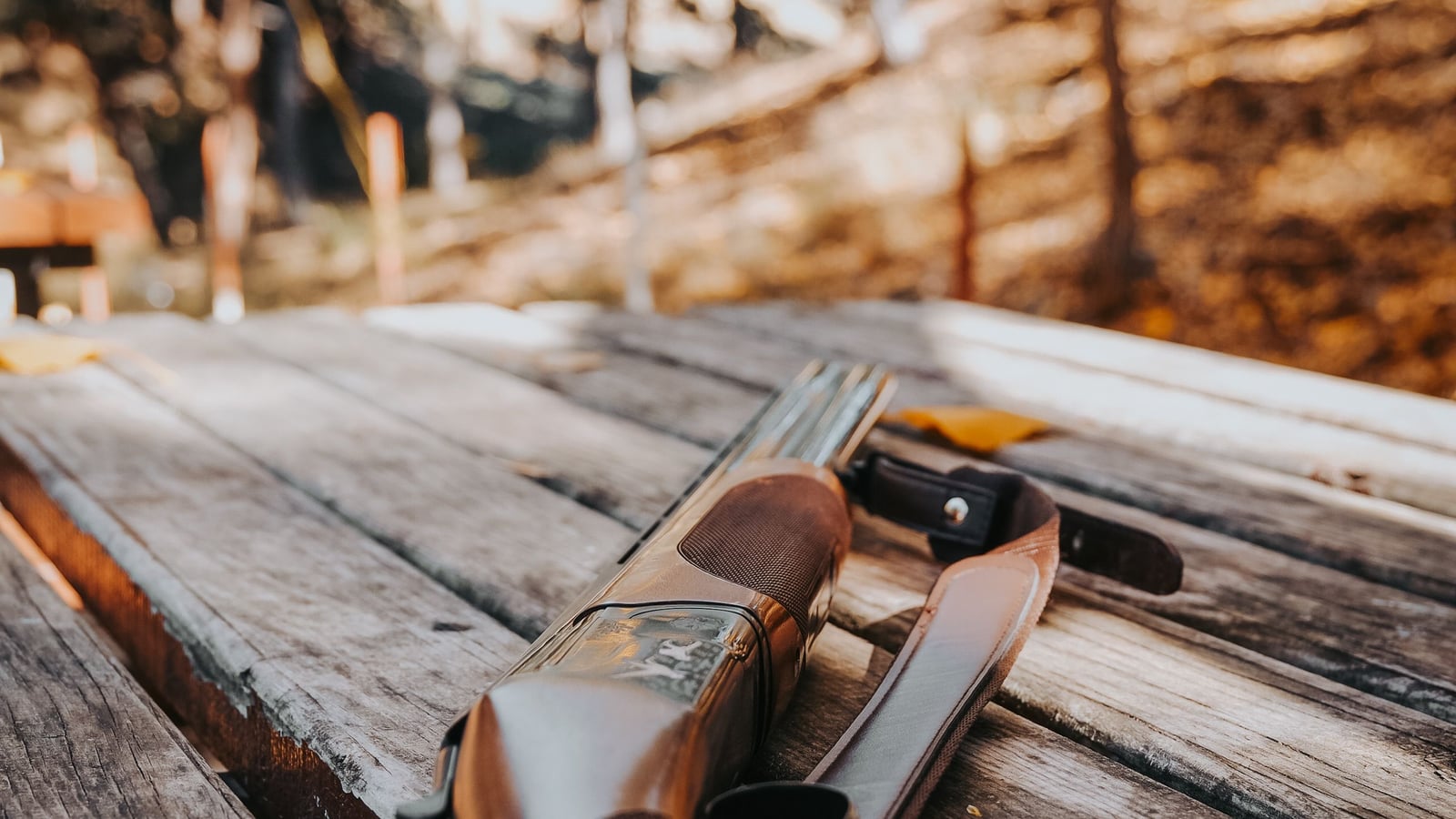 Hunting shotgun resting on an outdoor wooden bench, cartridge belt beside it, ready for cleaning and storage