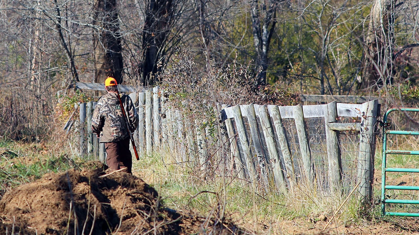 Sport shooting vs. hunting: two very different regulatory systems